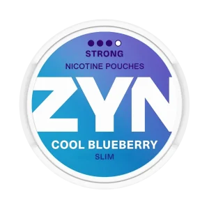 ZYN Cool Blueberry 11mg