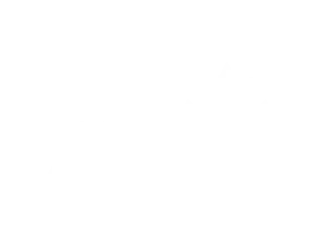 ZynCanada